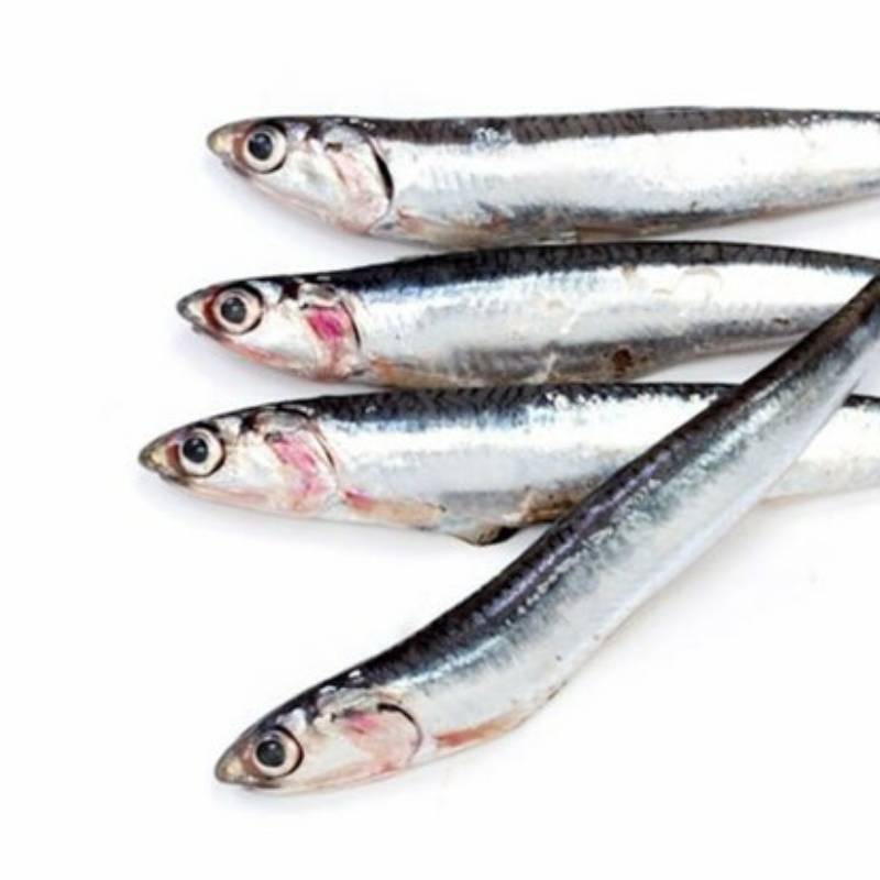 Boqueron