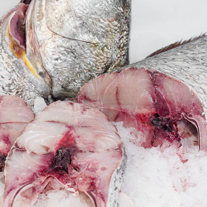 Corvina