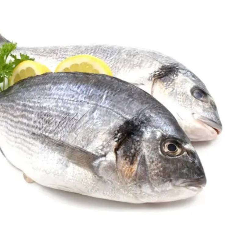 Dorada