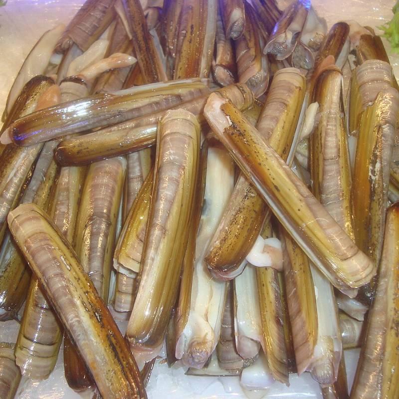 Navajas