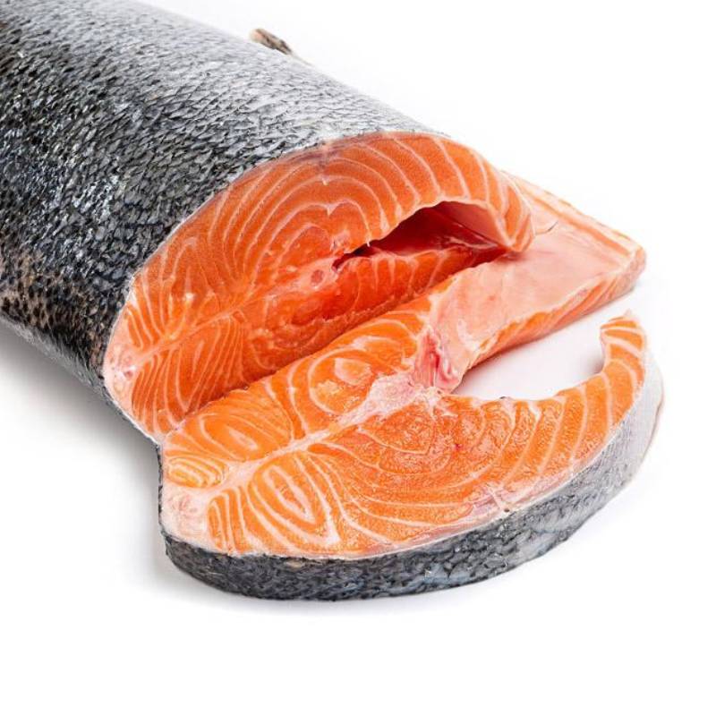 Salmón