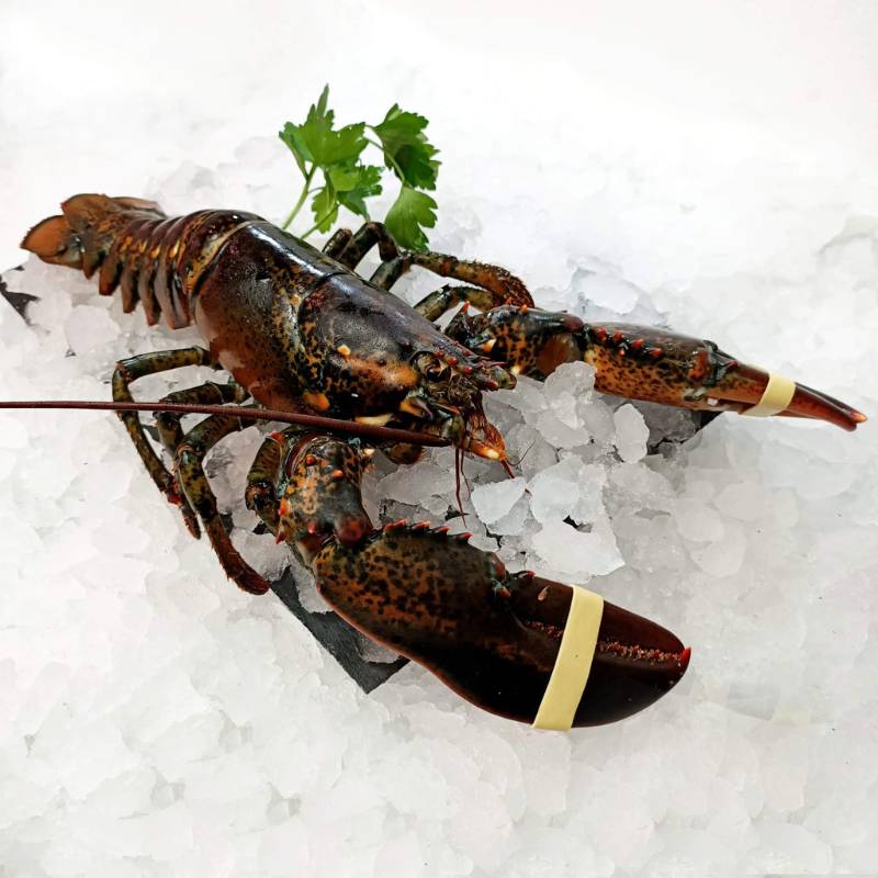 bogavante