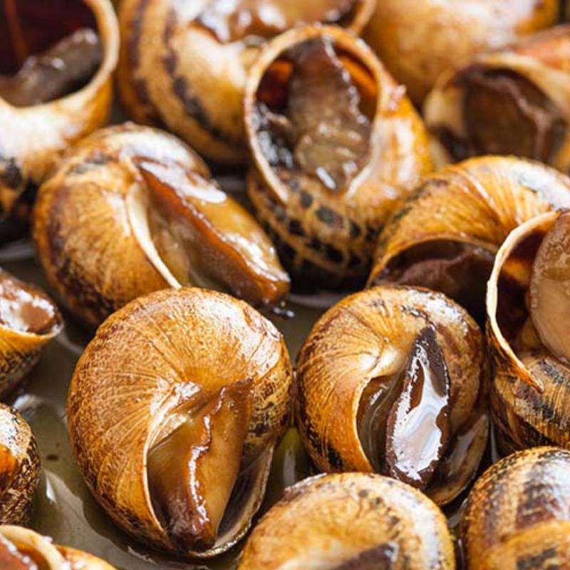 caracoles