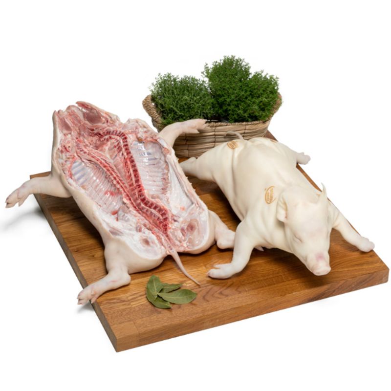 cochinillo