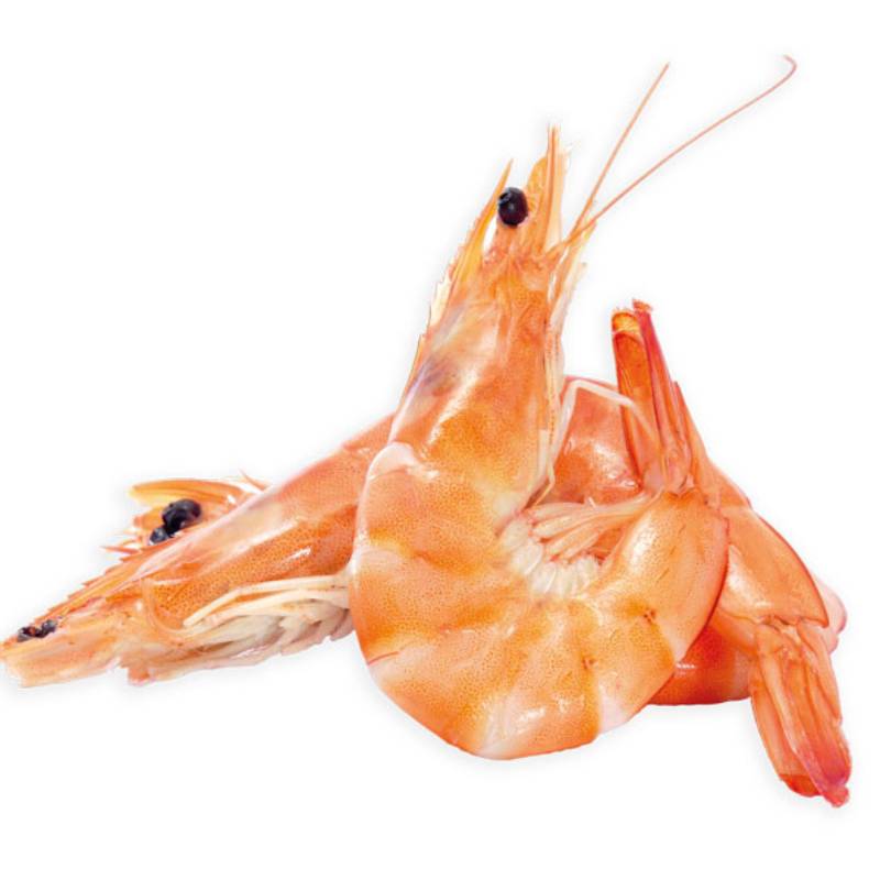 langostino cocido