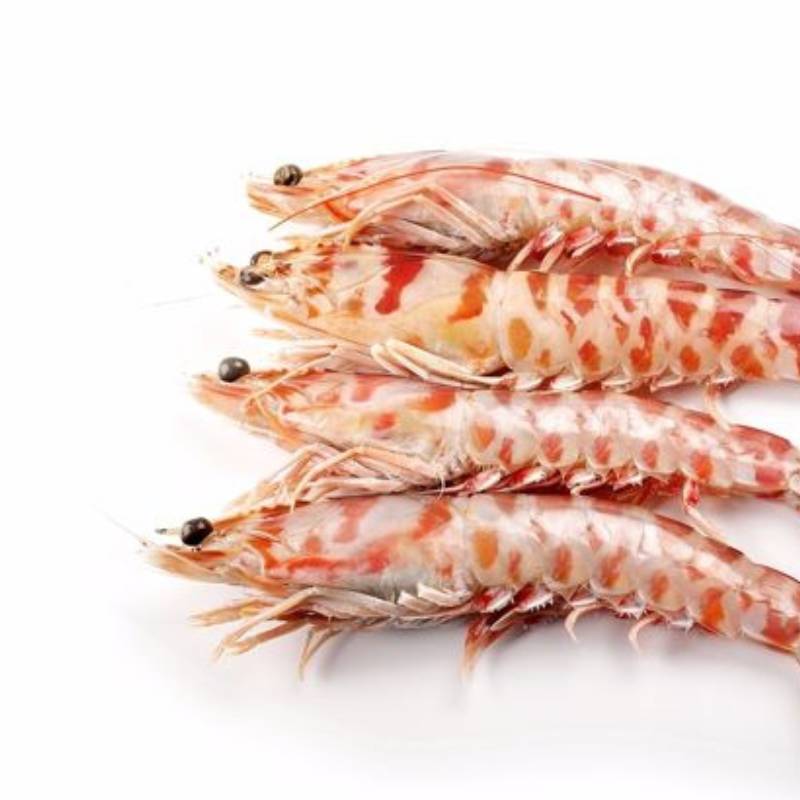 langostino tigre mediterraneo